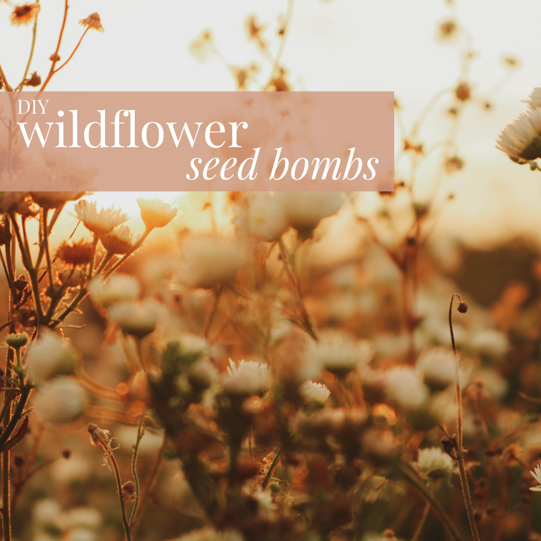 Easy Wildflower Seed Bomb Tutorial
