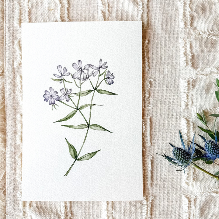 Watercolor Class: Wildflowers