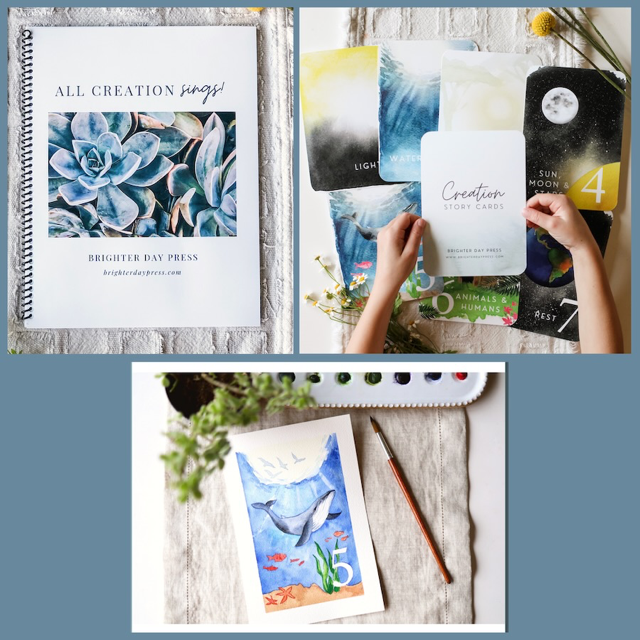 The Creation Bundle