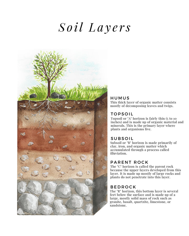 Soil Layers - Printable Poster