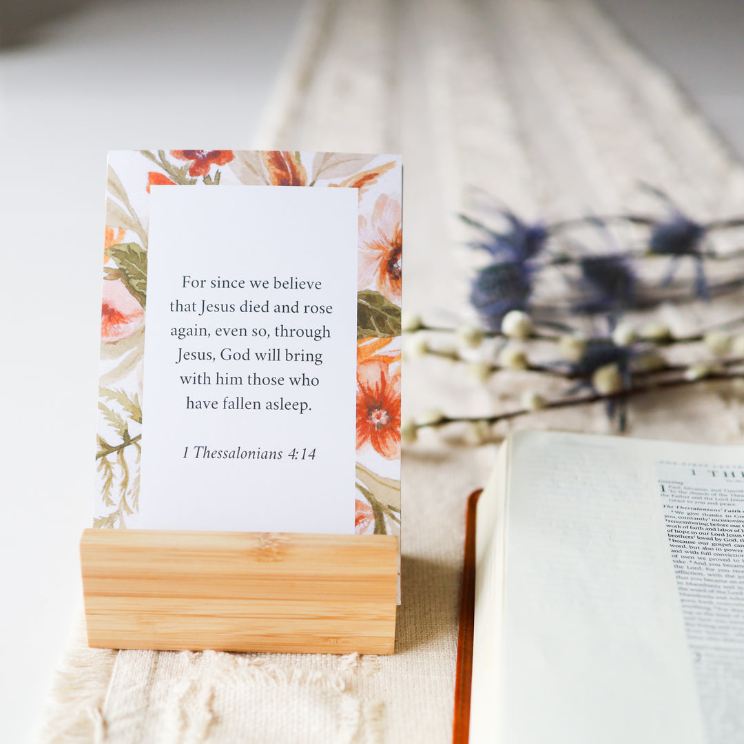 Morning Moments for Moms: 1 Thessalonians