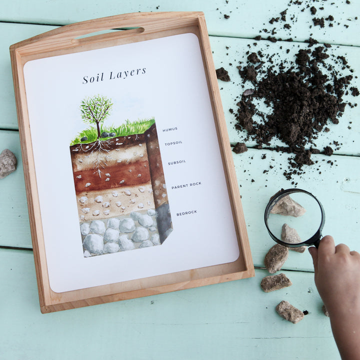 Soil Layers - Printable Poster