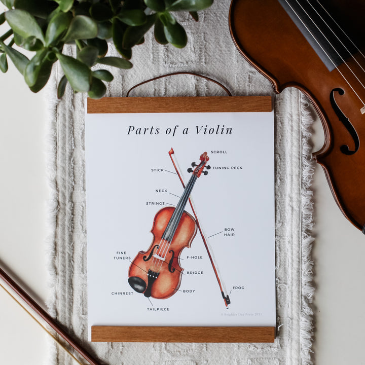 Set of Nature Posters