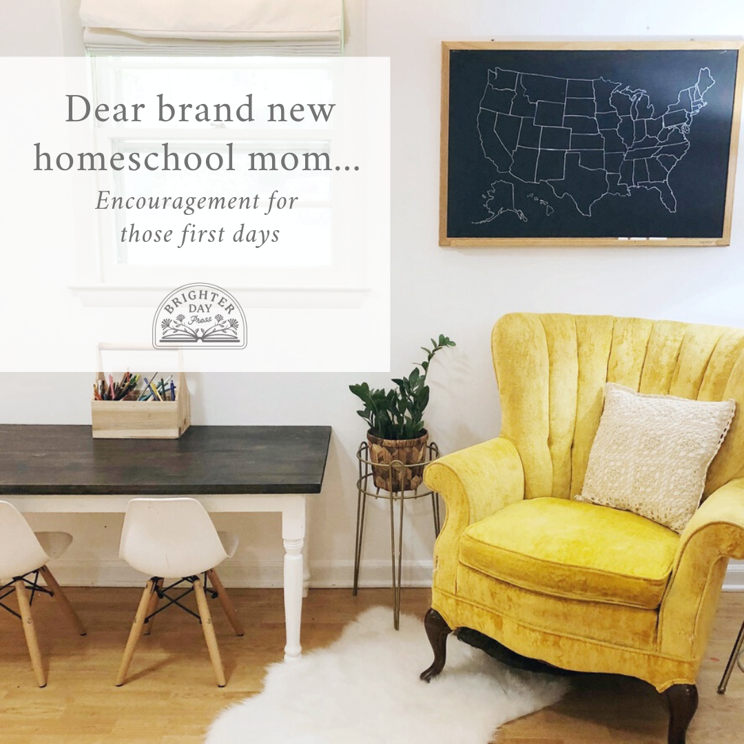 Dear Brand New Homeschool Mom...