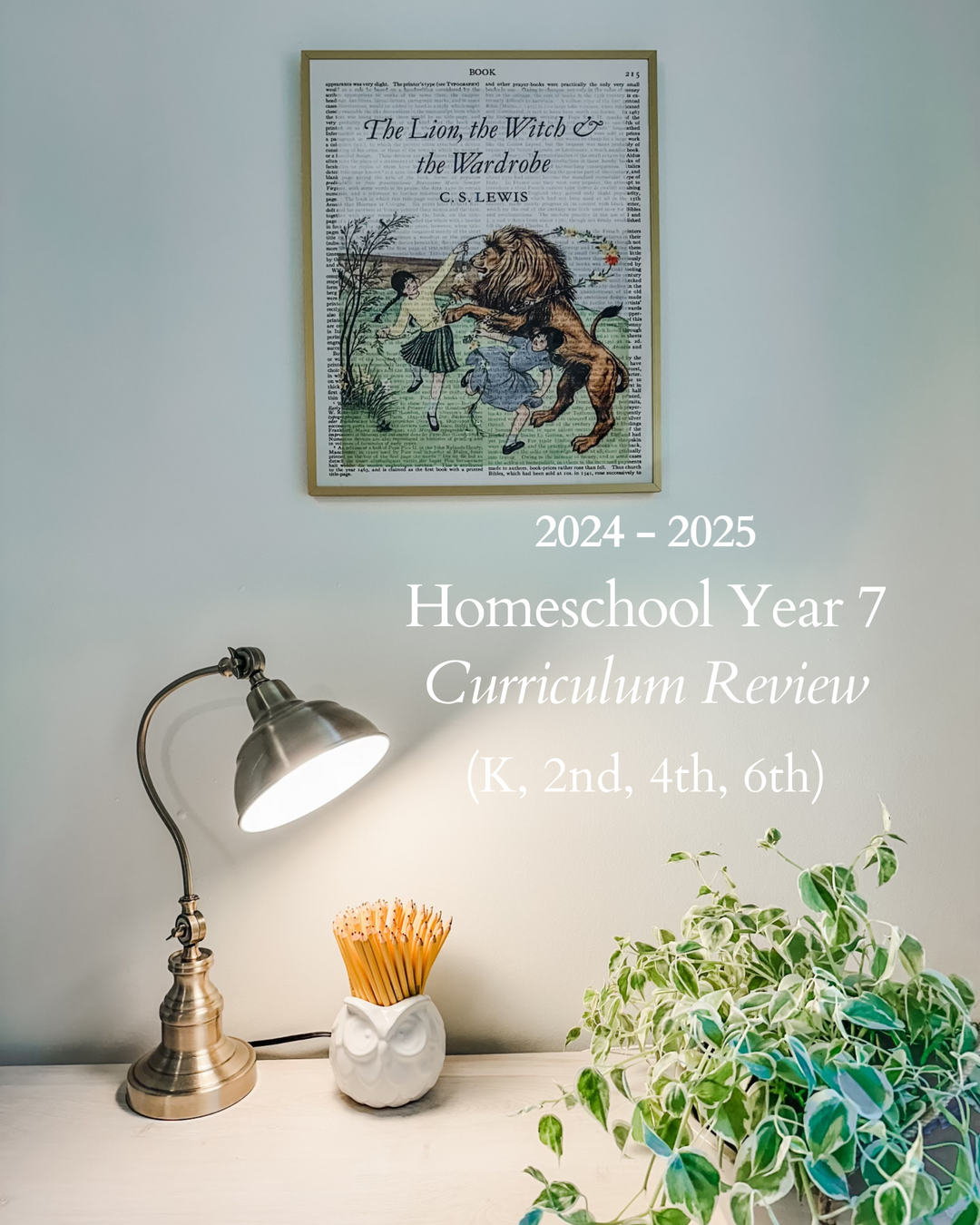 Curriculum Review (2024-2025)
