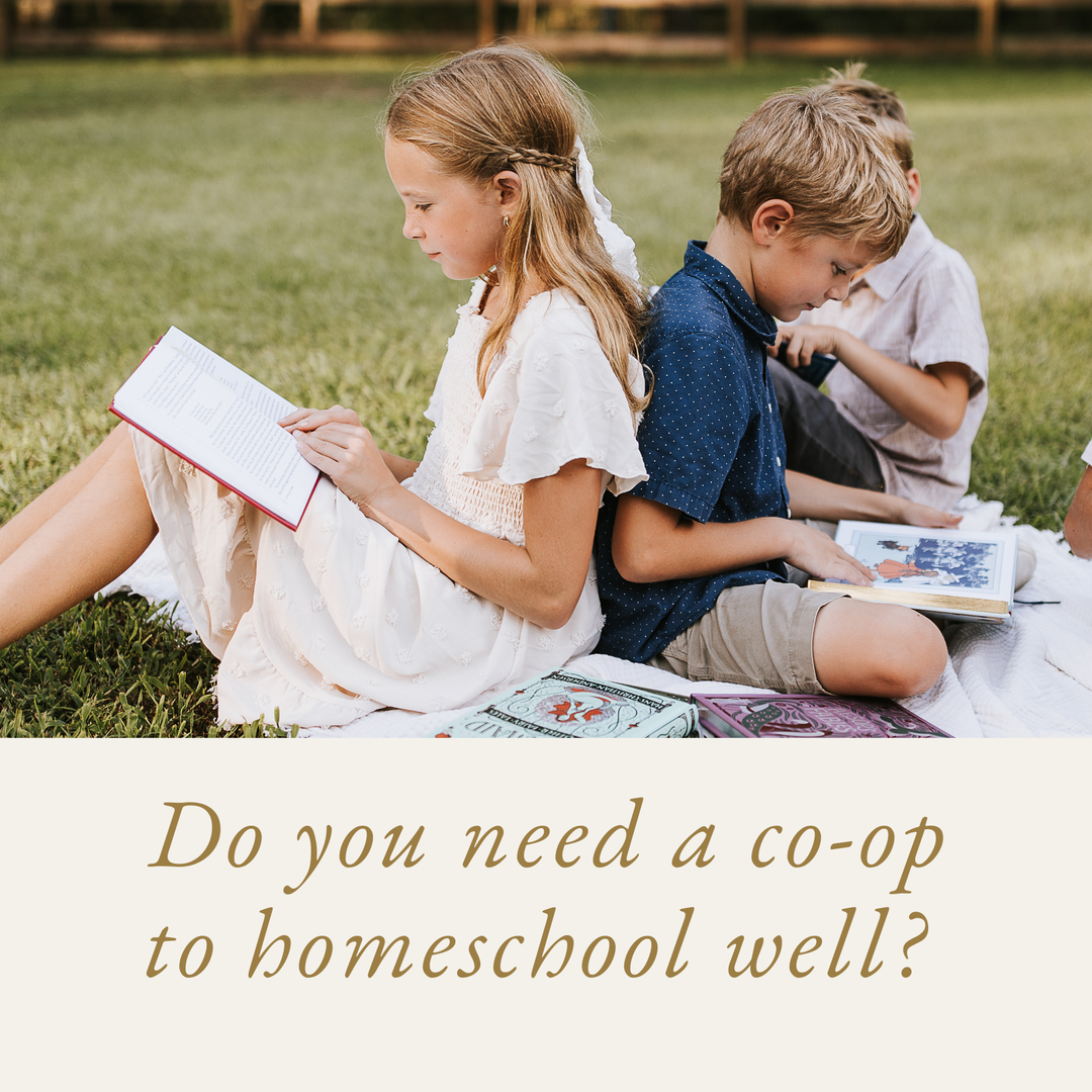 Do you need a co-op to homeschool well?