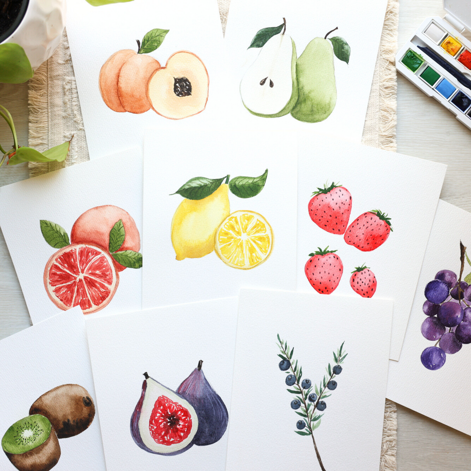 Tute Fruit Amazon Tuta Grigi Pantaloni Tuta Della Fruit Pantaloni