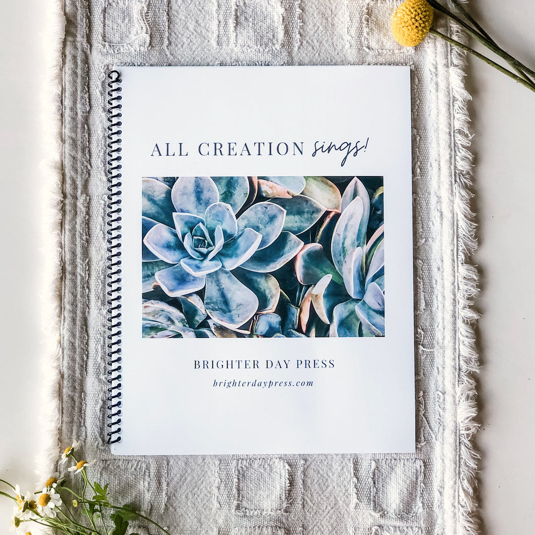 The Creation Bundle