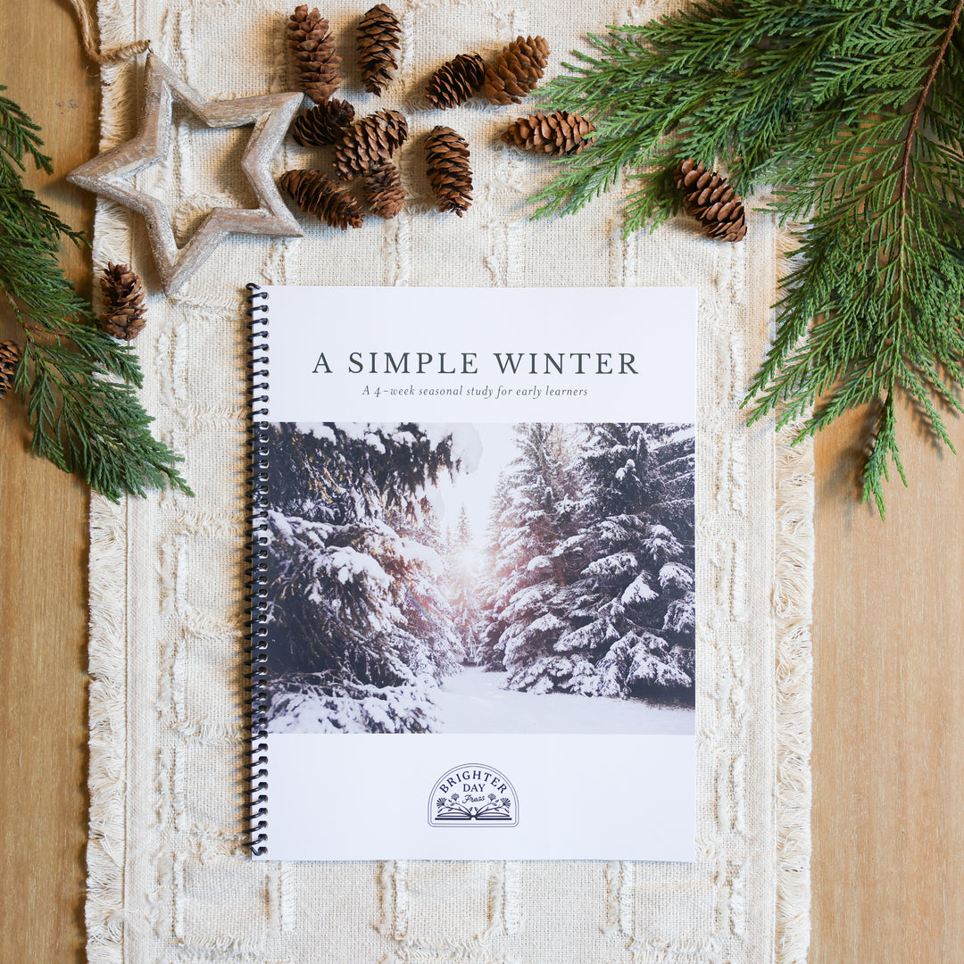 A Simple Winter guide