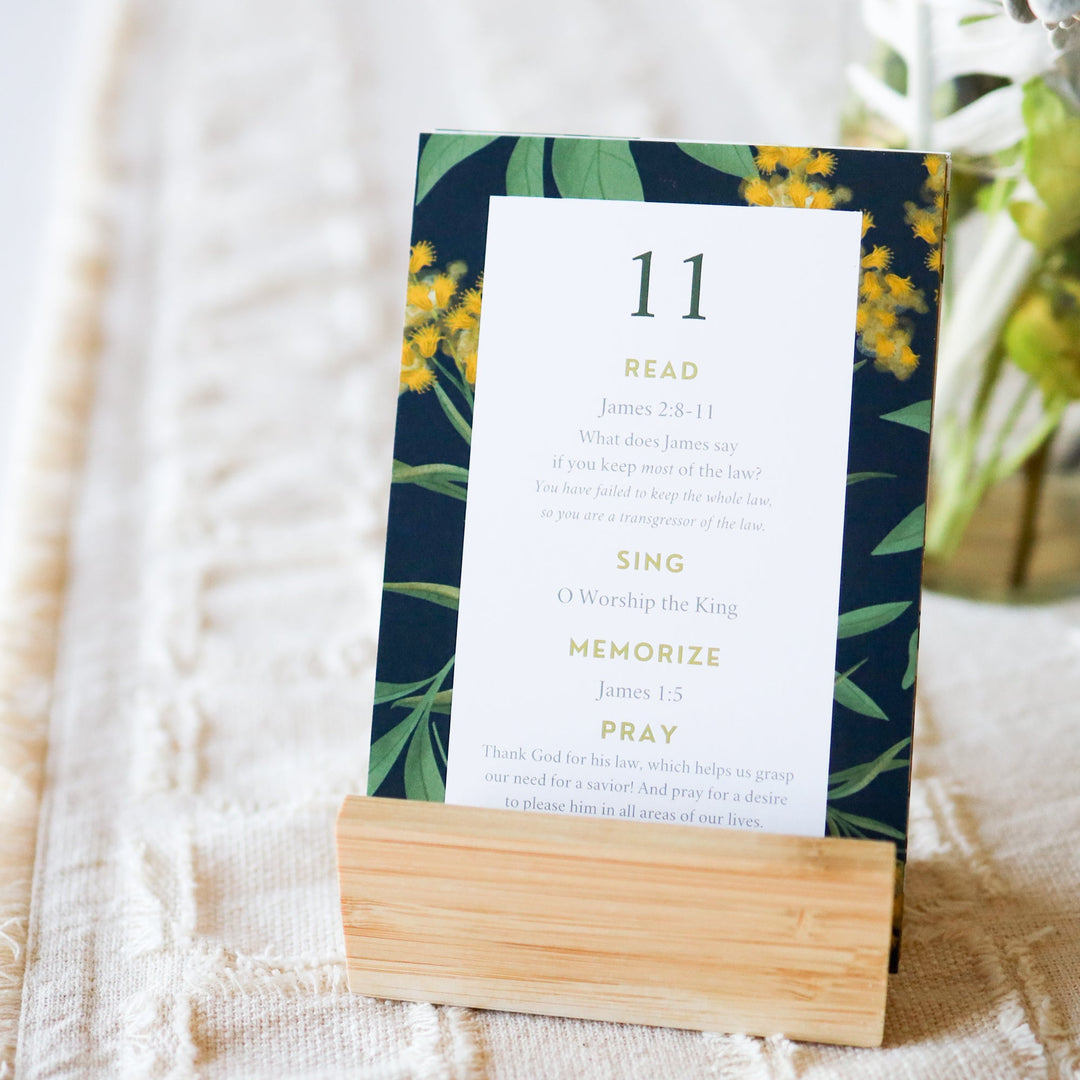 The Morning Moments Bundle