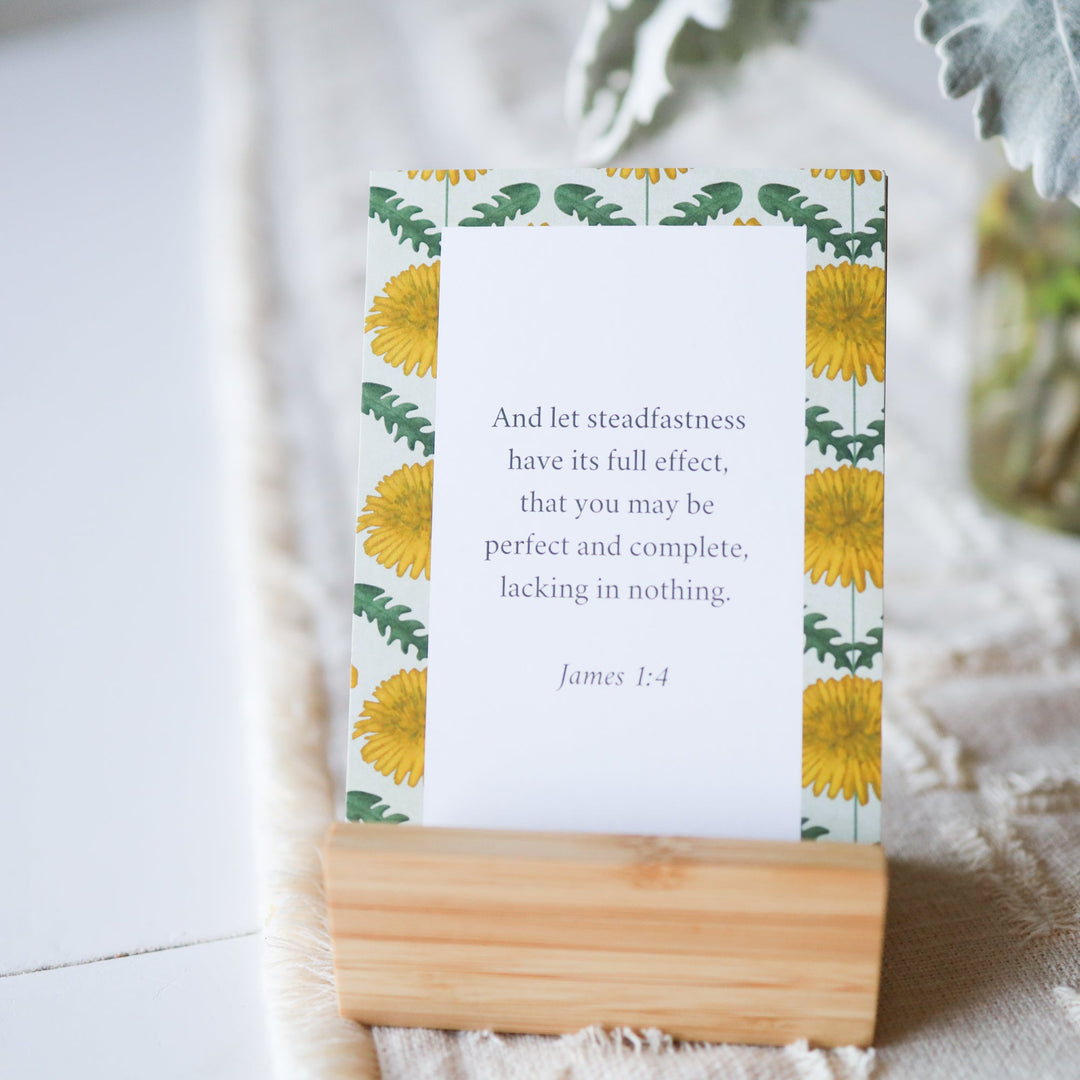 The Morning Moments Bundle