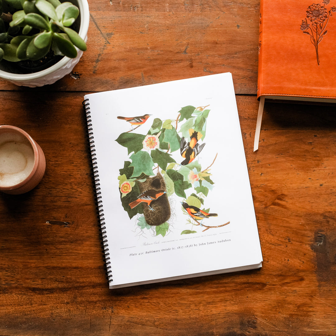 Morning Time Vol. 2 Bundle