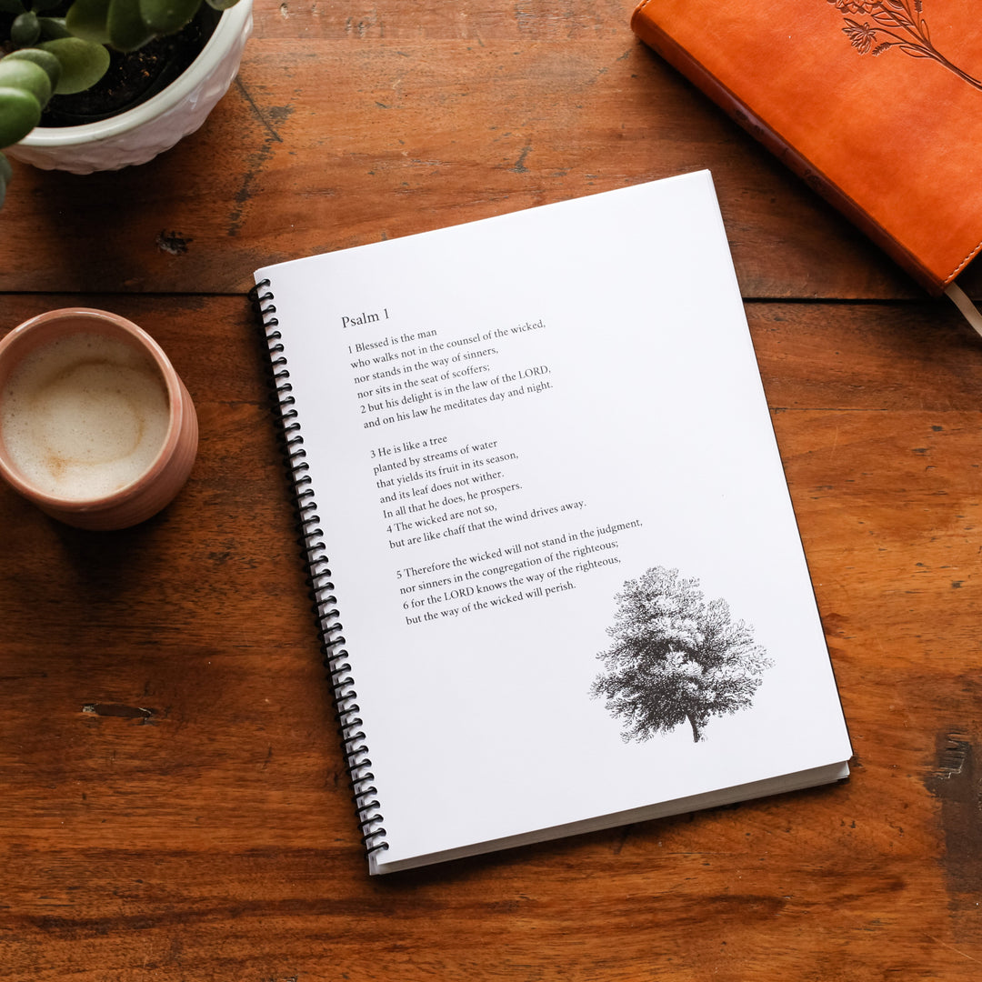 Morning Time Vol. 2 Bundle