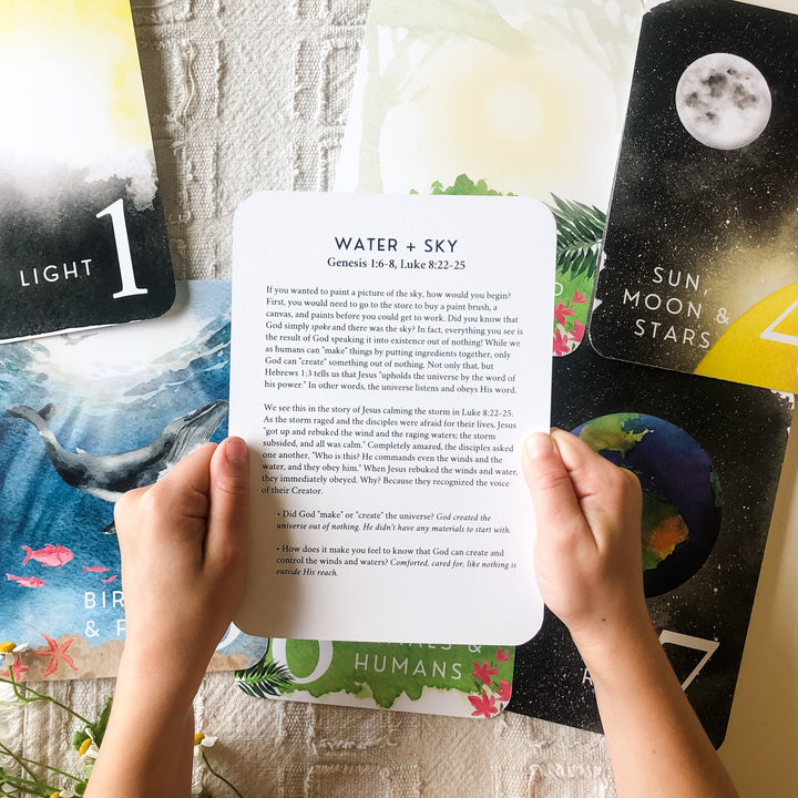 The Creation Bundle