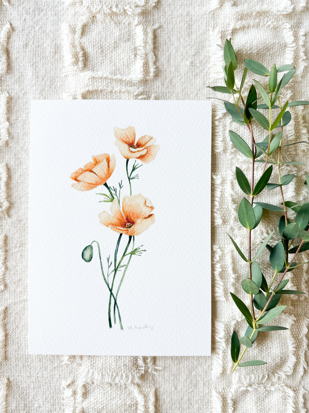 5x7 Wildflower Watercolor Prints – Brighter Day Press