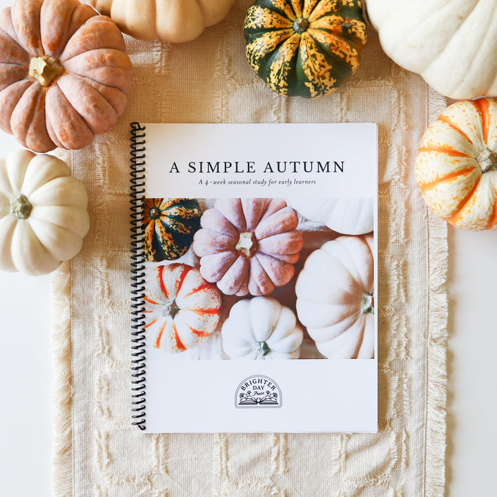 The Autumn Bundle