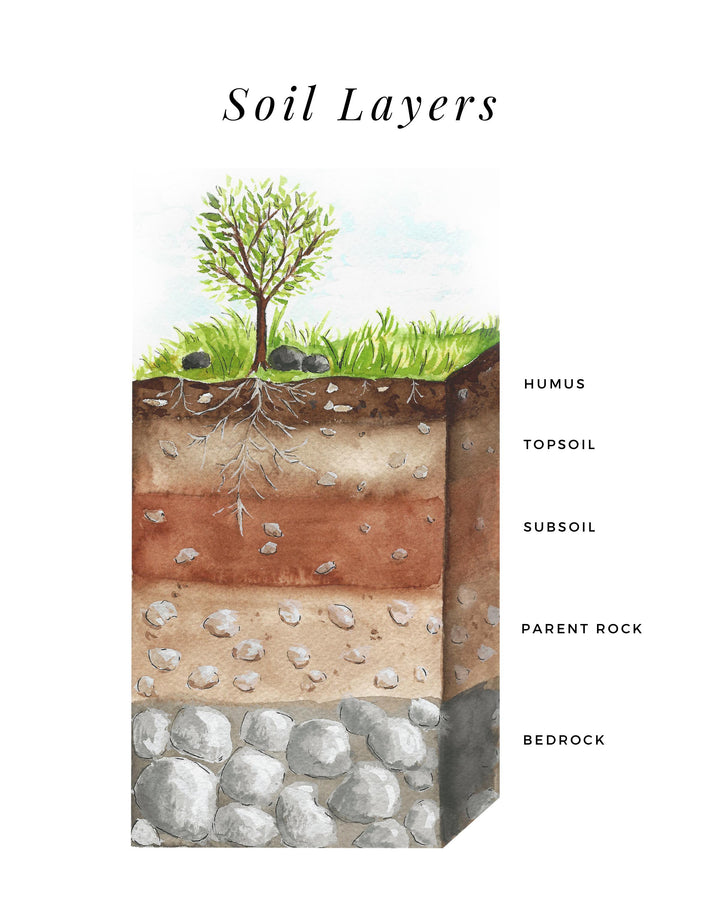 Soil Layers - Printable Poster