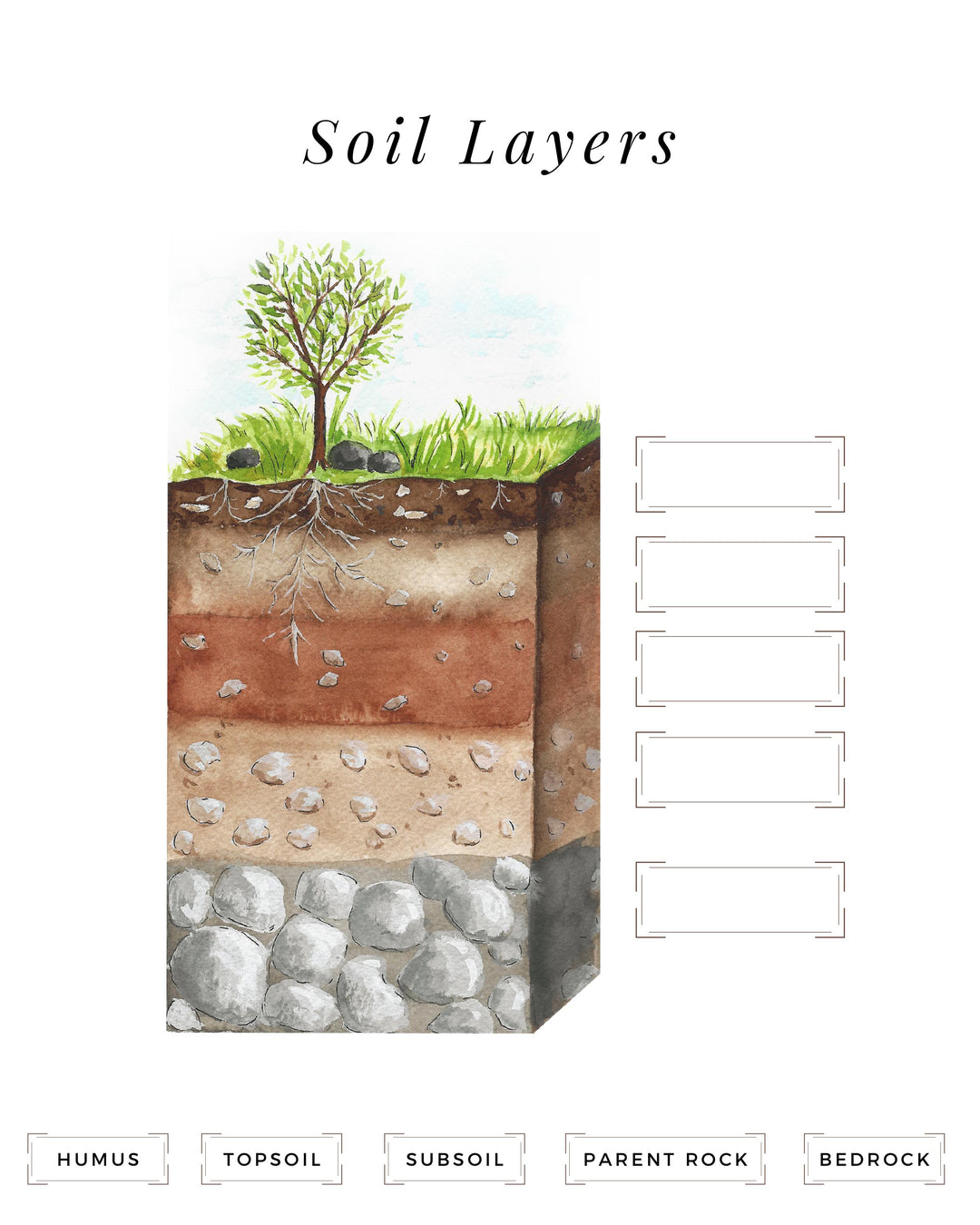 Soil Layers Worksheet For Kids