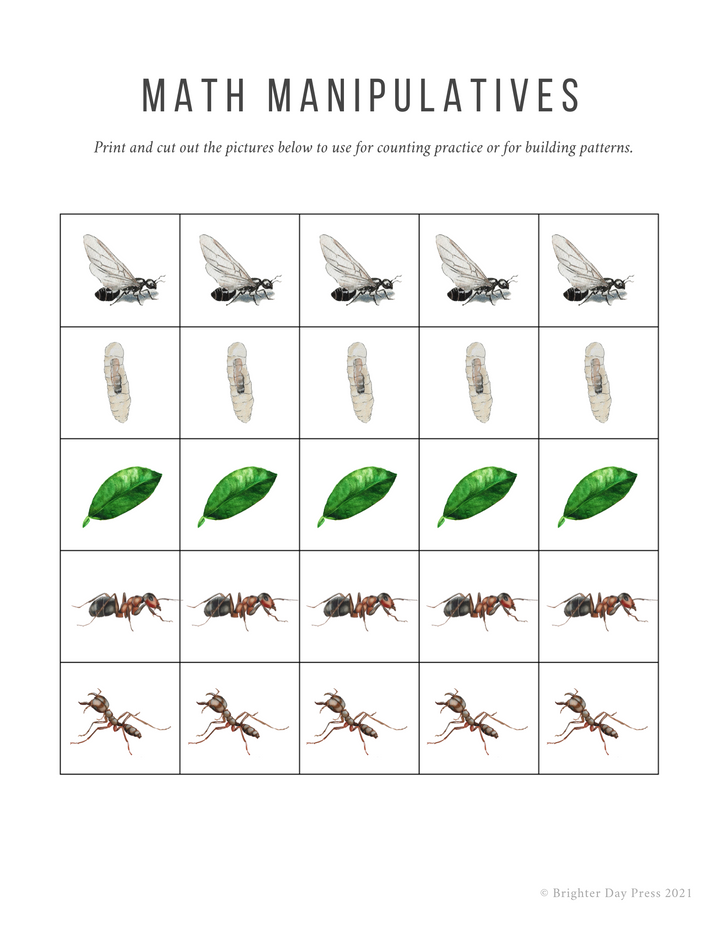 Ants Unit Study (Digital Download)
