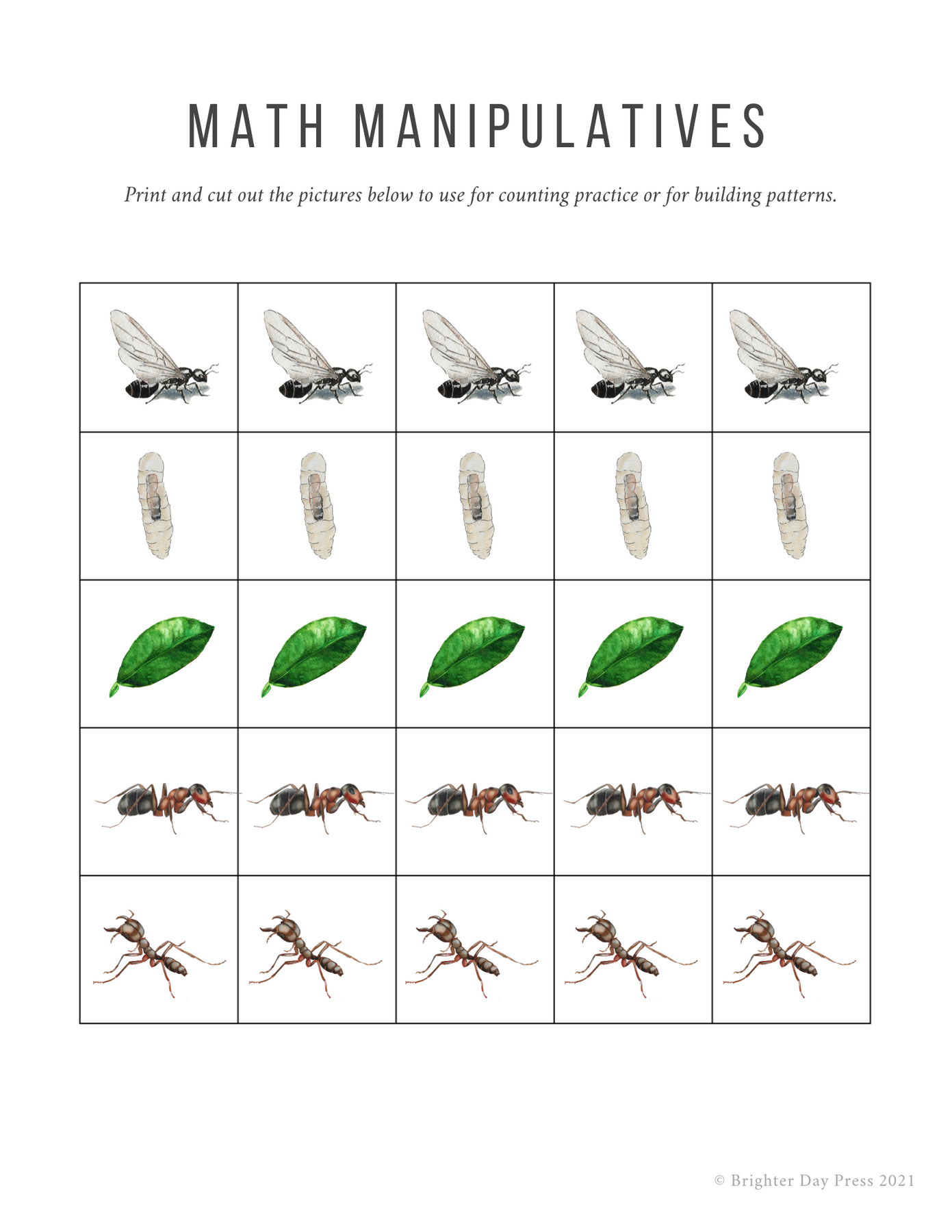 Math Problem Ants Printable Ants Unit Study (Digital Download) – Brighter Day Press