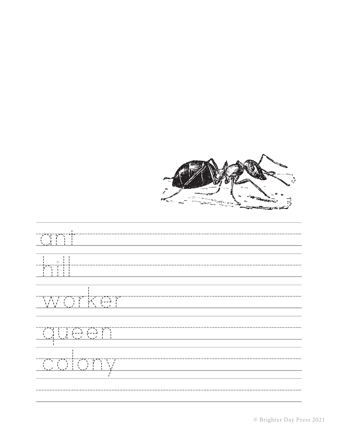 Ants Unit Study (Digital Download)