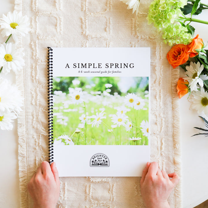 A Simple Spring guide