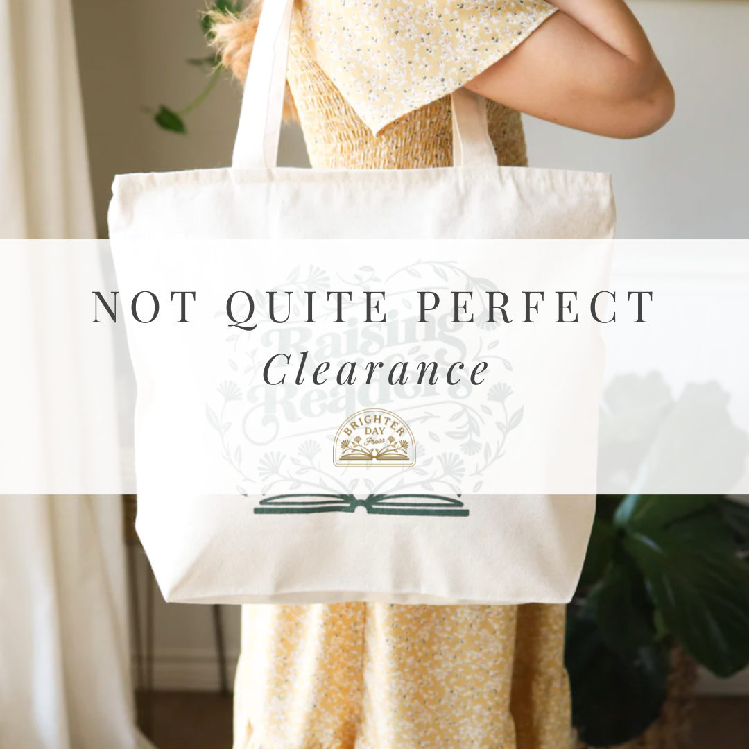 Not-Quite-Perfect Clearance (Library bags)